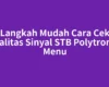 Langkah Mudah Cara Cek Kualitas Sinyal STB Polytron di Menu