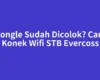 Dongle Sudah Dicolok? Cara Konek Wifi STB Evercoss