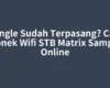 Dongle Sudah Terpasang? Cara Konek Wifi STB Matrix Sampai Online