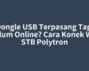 Dongle USB Terpasang Tapi Belum Online? Cara Konek Wifi STB Polytron