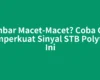 Gambar Macet-Macet? Coba Cara Memperkuat Sinyal STB Polytron Ini