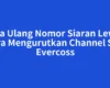 Tata Ulang Nomor Siaran Lewat Cara Mengurutkan Channel STB Evercoss