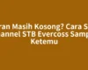 Siaran Masih Kosong? Cara Scan Channel STB Evercoss Sampai Ketemu