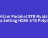 TV Hitam Padahal STB Nyala? Ini Cara Setting HDMI STB Polytron