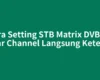 Cara Setting STB Matrix DVB-T2 agar Channel Langsung Ketemu