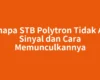 Kenapa STB Polytron Tidak Ada Sinyal dan Cara Memunculkannya