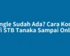 Dongle Sudah Ada? Cara Konek Wifi STB Tanaka Sampai Online