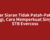 Agar Siaran Tidak Patah-Patah Lagi, Cara Memperkuat Sinyal STB Evercoss