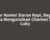 Biar Nomor Siaran Rapi, Begini Cara Mengurutkan Channel STB Luby