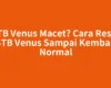 STB Venus Macet? Cara Reset STB Venus Sampai Kembali Normal