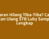 Siaran Hilang Tiba-Tiba? Cara Scan Ulang STB Luby Sampai Lengkap