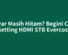 Layar Masih Hitam? Begini Cara Setting HDMI STB Evercoss