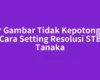 Biar Gambar Tidak Kepotong, Ini Cara Setting Resolusi STB Tanaka