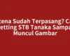 Antena Sudah Terpasang? Cara Setting STB Tanaka Sampai Muncul Gambar
