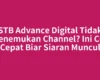 STB Advance Digital Tidak Menemukan Channel? Ini Cek Cepat Biar Siaran Muncul