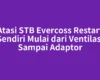 Atasi STB Evercoss Restart Sendiri Mulai dari Ventilasi Sampai Adaptor