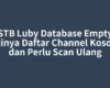 STB Luby Database Empty Artinya Daftar Channel Kosong dan Perlu Scan Ulang