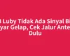 STB Luby Tidak Ada Sinyal Bikin Layar Gelap, Cek Jalur Antena Dulu