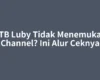 STB Luby Tidak Menemukan Channel? Ini Alur Ceknya