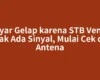 Layar Gelap karena STB Venus Tidak Ada Sinyal, Mulai Cek dari Antena